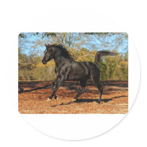 Through the Autumn leaves Sticker