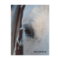 Through the Eye of a Horse Post Card postcards by WheatgrassDesigns Through the Eye of a Horse Post Card postcards