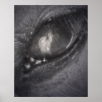 Through The Eye Poster posters