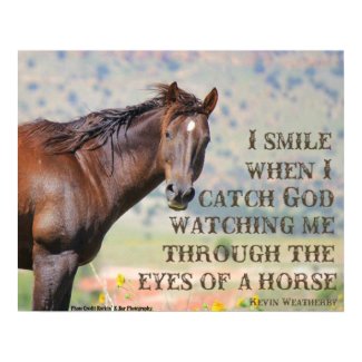Through the Eyes of a Horse Print