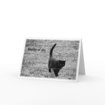 Through the Fence Greeting Card