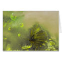 Through the Frosted Glass cards