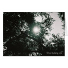  - multi-purpose note card. Great for everyday.  Comes as a boxed set when you purchase ten.  Photography by Patrice Vandehey: Sizes 
