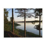 Through the Pines Postcard