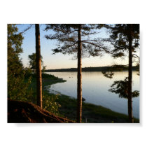 Through the Pines Poster posters by hopefulone Through the Pines Poster posters