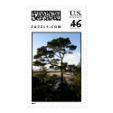 Through the tree postage