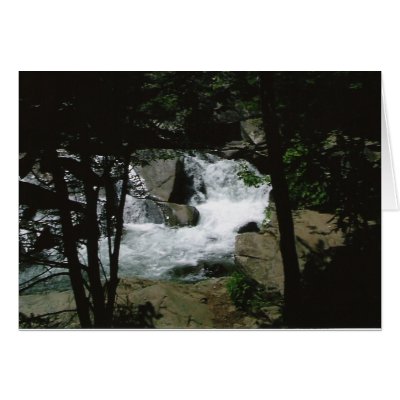 Through the Trees Card by duelingdualities