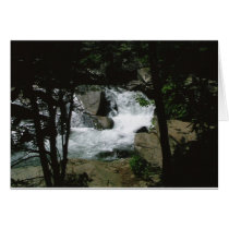 Through the Trees Card by duelingdualities Through the Trees Card