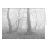 Through the Trees Greeting Cards