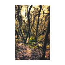 Through the Wild Woods canvas print canvas prints