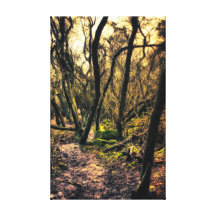 Through the Wild Woods canvas print