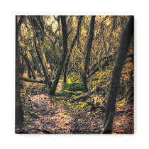 Through the Wild Woods fridge magnet magnets