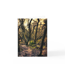 Through the Wild Woods note card cards