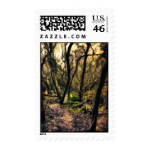 Through the Wild Woods postage stamps stamps