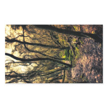 Through the Wild Woods stickers stickers