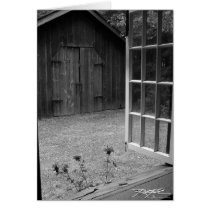 Through The Window Cards
