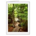 Through the Woods cards
