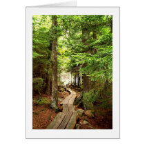Through the Woods cards