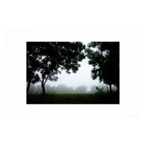 Through the woods posters by rope83 Through the woods posters