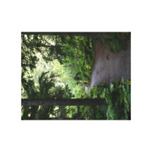 Through the Woods - Wrapped Canvas Gallery Wrap Canvas