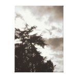 Through Trees - Sepia canvas prints