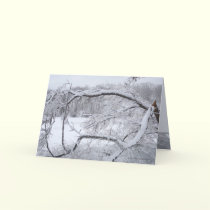 Through Winter cards by MoiraAshleigh Through Winter cards