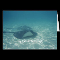 Throught The Eyes of A Stingray Card by Firecrackinmama Throught The Eyes of A Stingray Card