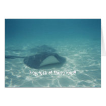 Throught The Eyes of A Stingray Card