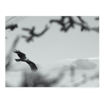 thru postcards