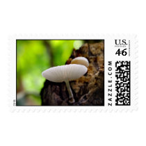 thru you postage by blacqbook thru you postage