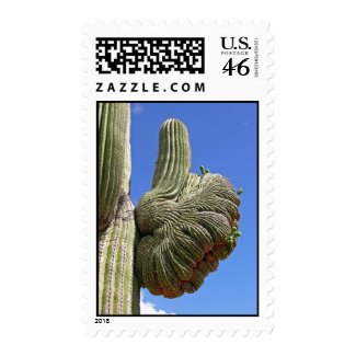 Thumbs Up Cactus stamp