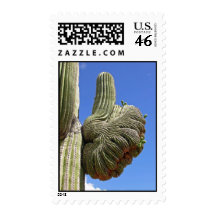 Thumbs Up Cactus Postage