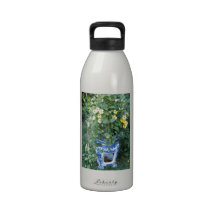 Thunbergia Black Eyed Susan Vine Blue white pot Drinking Bottles
