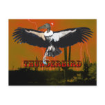 Thunderbird Postcard