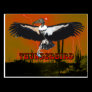 Thunderbird Postcard