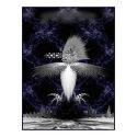 thunderbird posters