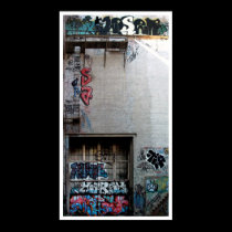 Thunderdome 18.6" x 34.5" UV Matte Print posters