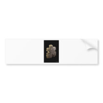 Thundershuk_David Hart Bumper Stickers