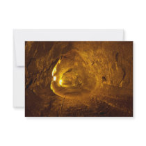 Thurston Lava Tube Hawaii Volcanoes National Park