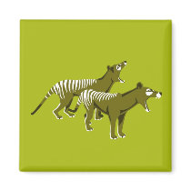 Thylacine magnets