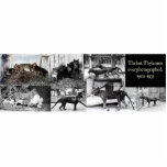 Thylacine Photos Cutout Magnet/Sculpture Acrylic Cut Out