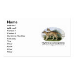 Thylacinus cynocephalus (Tasmanian Tiger Or Wolf) Business Card Templates