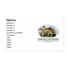 Thylacinus cynocephalus (Tasmanian Tiger Or Wolf) Business Card Templates