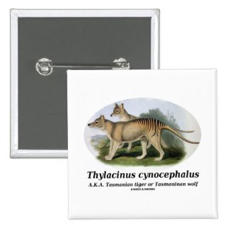Thylacinus cynocephalus (Tasmanian tiger or wolf) Pinback Buttons