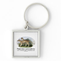Thylacinus cynocephalus (Tasmanian tiger or wolf) Key Chains