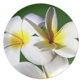 ti plant flowers yellow white green back