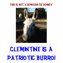 tia shirtJPG, this is not a democratic donkey, ... by wildburro tia shirtJPG, this is not a democratic donkey, ...