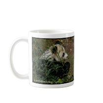 Tian Tian and Mei Xiang Giant Pandas National Zoo mugs by miriamkilmer Tian Tian and Mei Xiang Giant Pandas National Zoo mugs