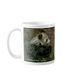 Tian Tian and Mei Xiang Giant Pandas National Zoo mugs