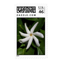 Tiare Tahiti Postage Stamps